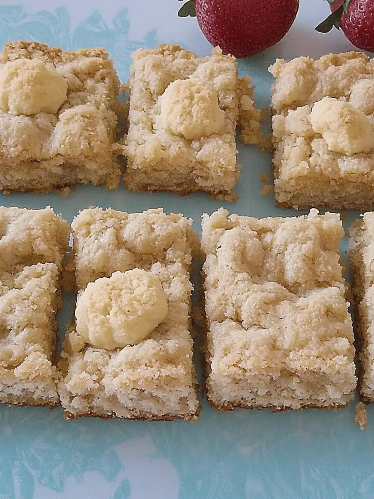 Apfelmus-Streusel-Blechkuchen für jeden Anlass 2 Apfelmus-Streusel-Blechkuchen